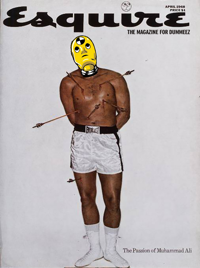 dummeez_esquire_cover