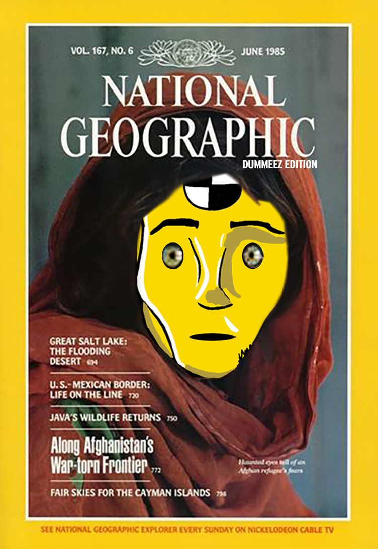 dummeez_ntnlgeo_cover